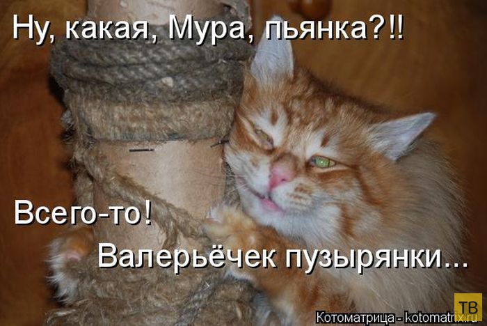 ������ ����������� ������, ����� 15 (50 ����)