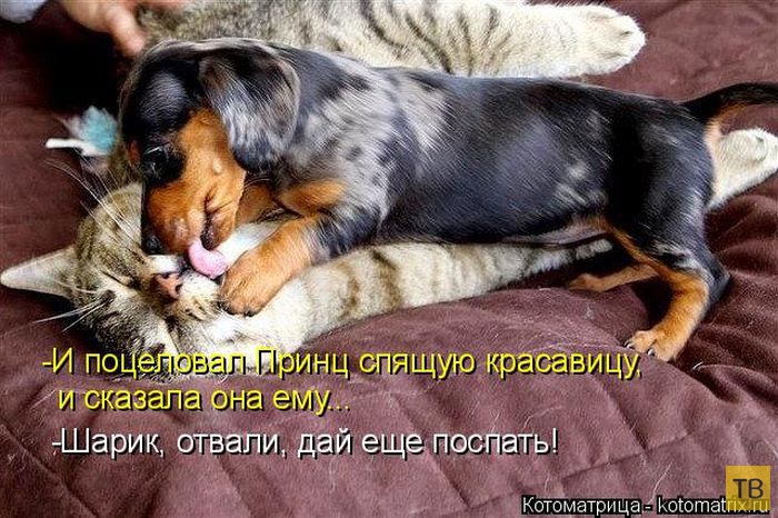 ������ ����������� ������, ����� 15 (50 ����)