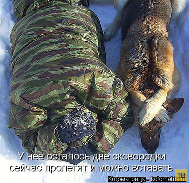 ������ ����������� ������, ����� 15 (50 ����)