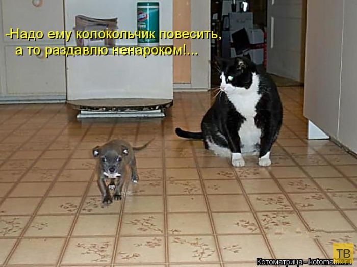 ������ ����������� ������, ����� 15 (50 ����)