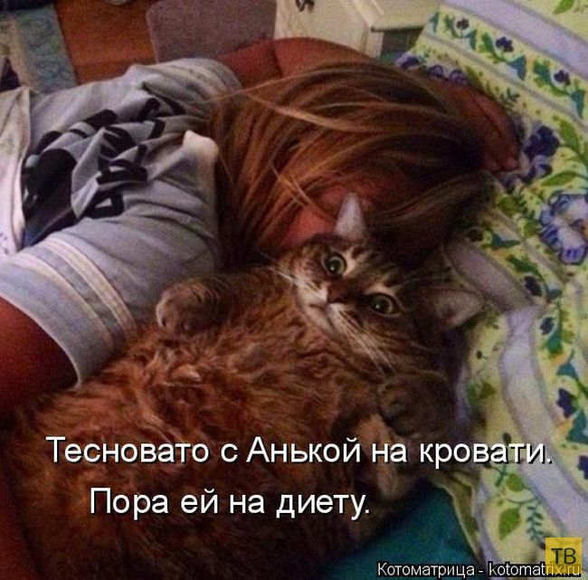 ������ ����������� ������, ����� 15 (50 ����)