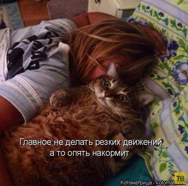 ������ ����������� ������, ����� 15 (50 ����)