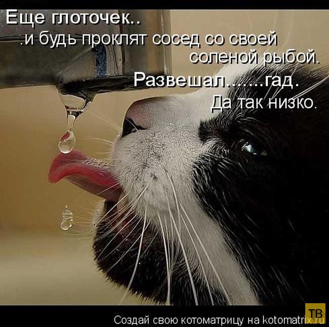 ������ ����������� ������, ����� 15 (50 ����)