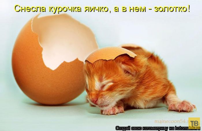 ������ ����������� ������, ����� 15 (50 ����)