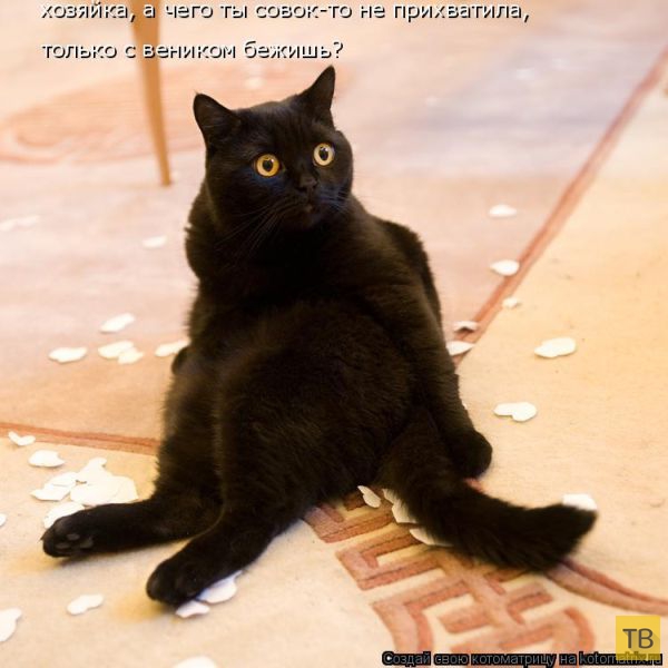 ������ ����������� ������, ����� 15 (50 ����)