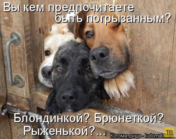 ������ ����������� ������, ����� 15 (50 ����)