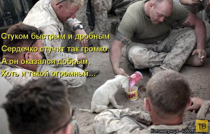 ������ ����������� ������, ����� 15 (50 ����)