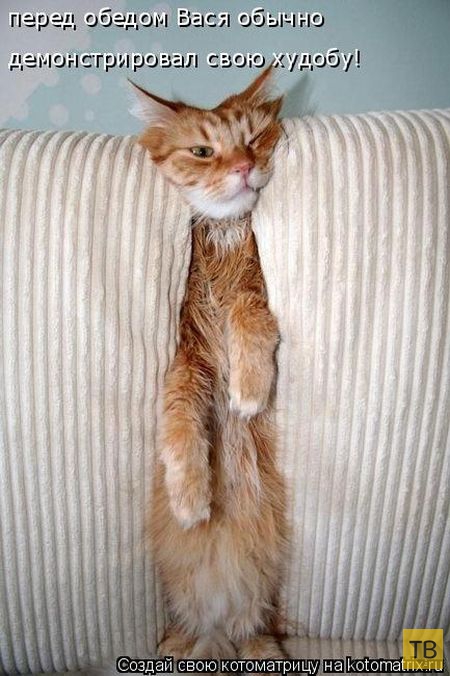 ������ ����������� ������, ����� 15 (50 ����)