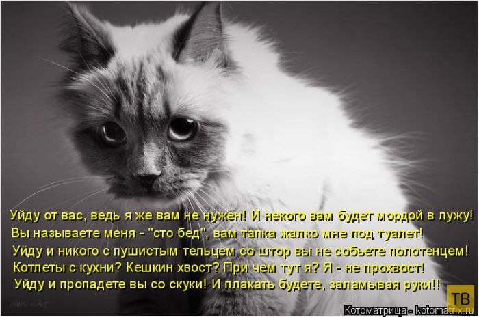 ������ ����������� ������, ����� 15 (50 ����)