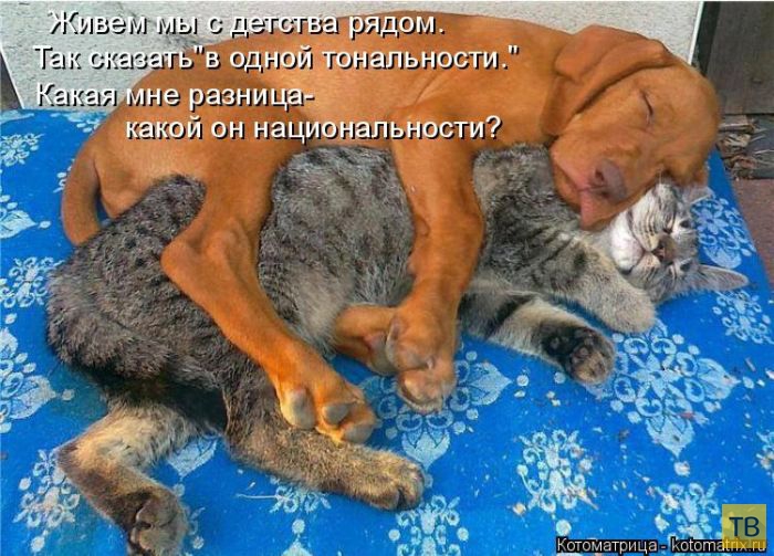 ������ ����������� ������, ����� 15 (50 ����)