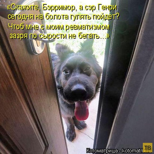 ������ ����������� ������, ����� 15 (50 ����)