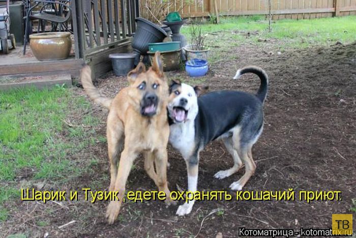 ������ ����������� ������, ����� 15 (50 ����)