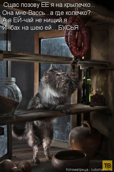 ������ ����������� ������, ����� 15 (50 ����)