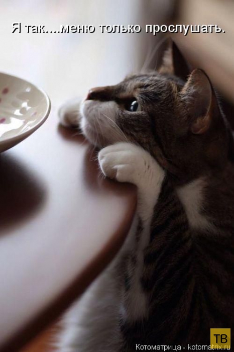 ������ ����������� ������, ����� 15 (50 ����)