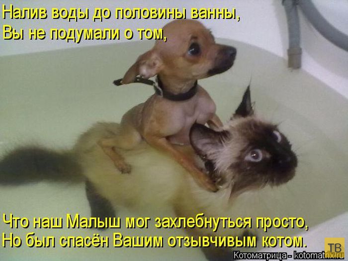 ������ ����������� ������, ����� 15 (50 ����)