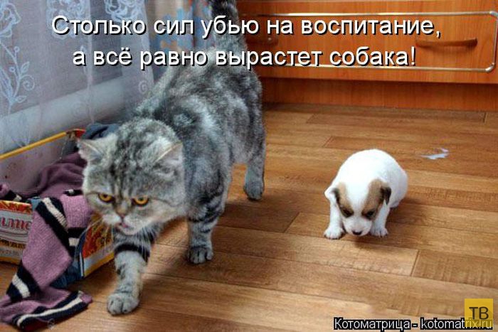 ������ ����������� ������, ����� 15 (50 ����)