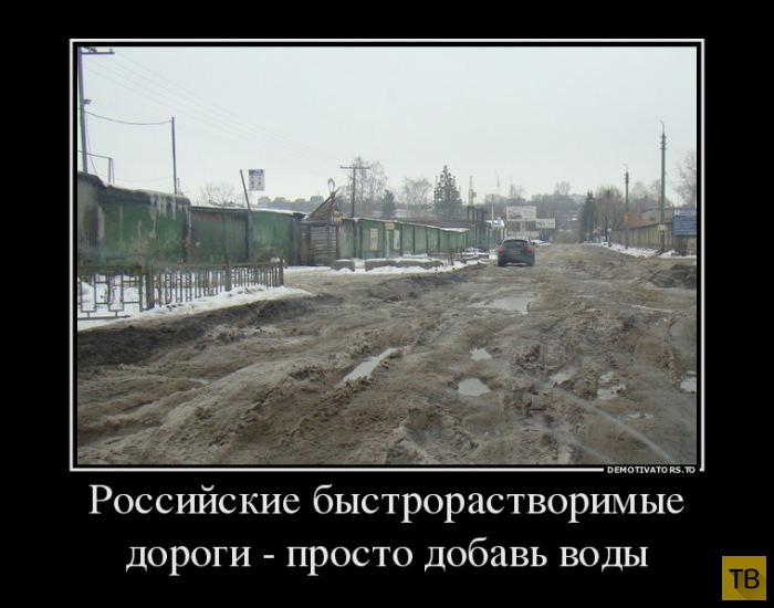 Подборка демотиваторов 11. 11. 2014 (30 фото)