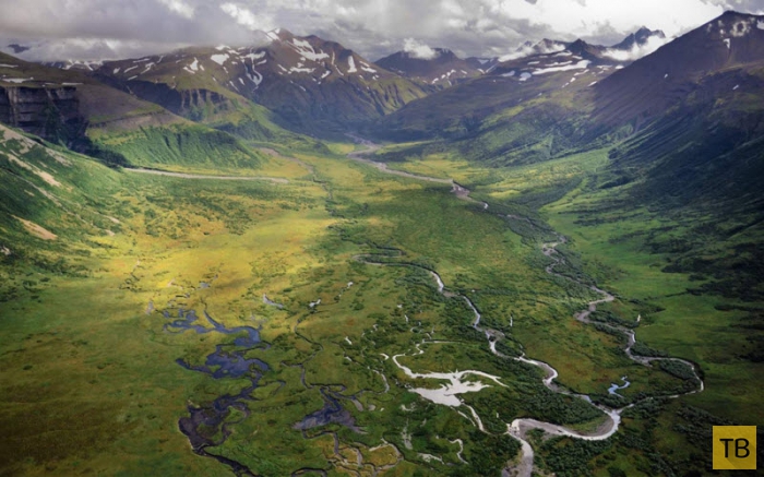 Дикая природа Аляски (12 фото)