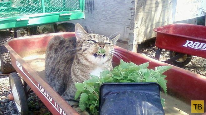 �� �������� ���� ���������� �� ��-������ (17 ����)