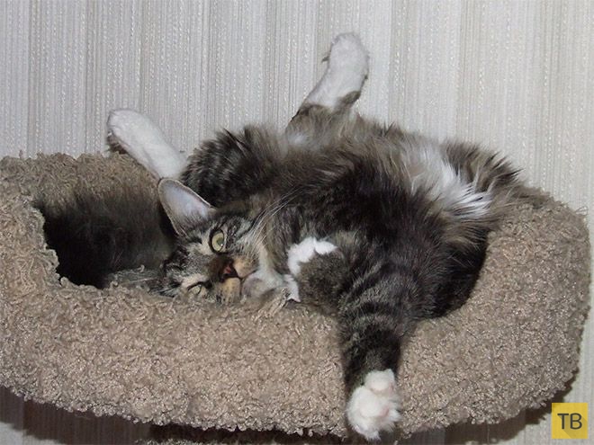 �� �������� ���� ���������� �� ��-������ (17 ����)