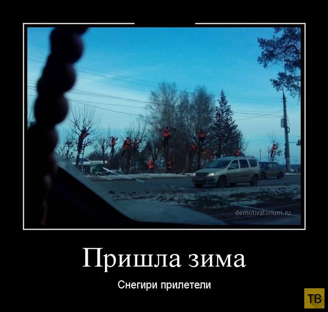 Подборка демотиваторов 14. 11. 2014 (41 фото)