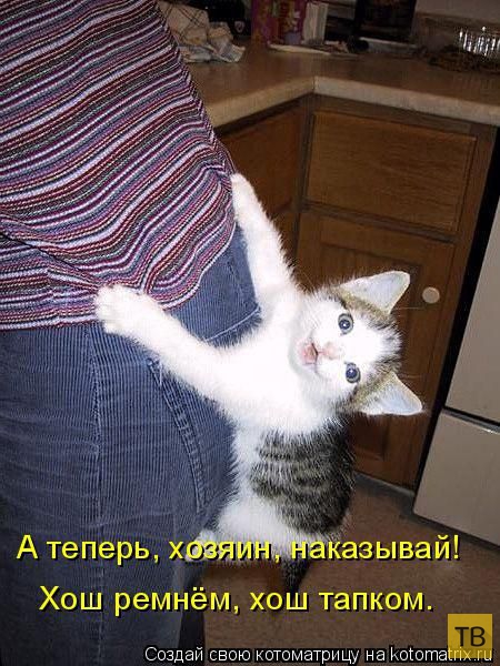 ������ ����������� ������, ����� 16 (50 ����)