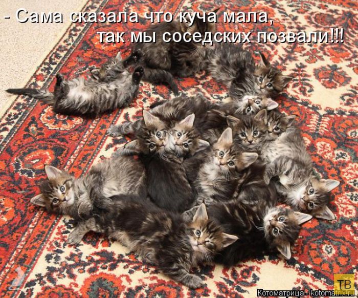 ������ ����������� ������, ����� 16 (50 ����)