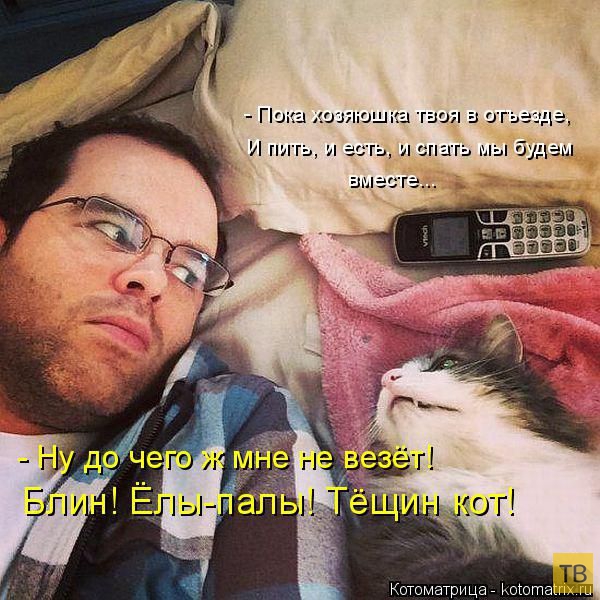 ������ ����������� ������, ����� 16 (50 ����)