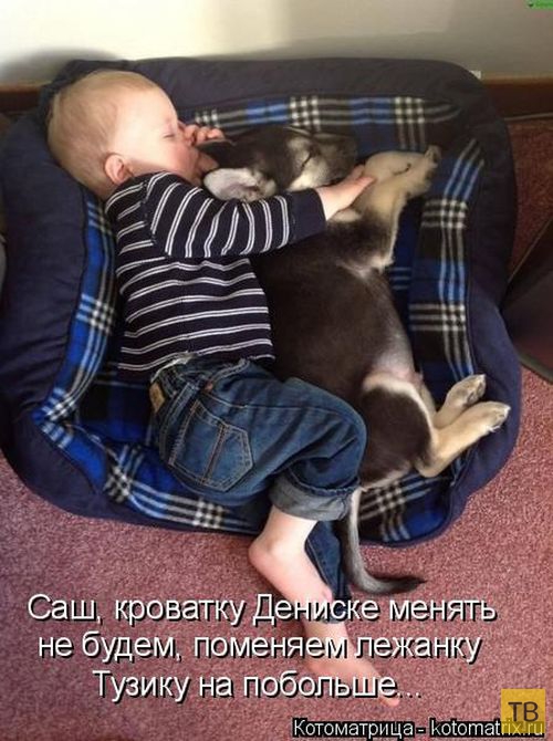 ������ ����������� ������, ����� 16 (50 ����)