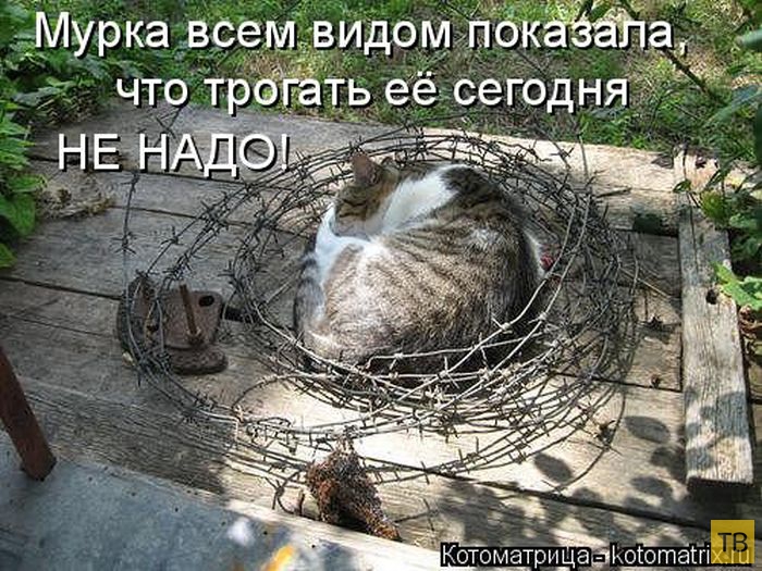 ������ ����������� ������, ����� 16 (50 ����)