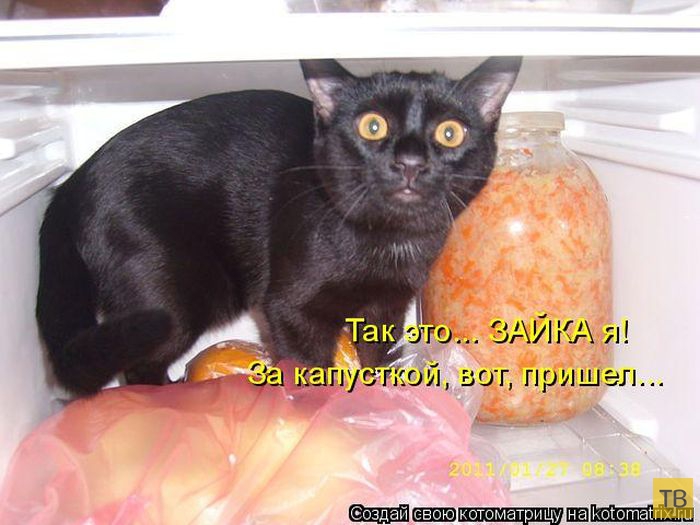 ������ ����������� ������, ����� 16 (50 ����)