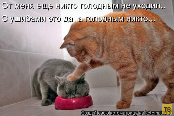 ������ ����������� ������, ����� 16 (50 ����)