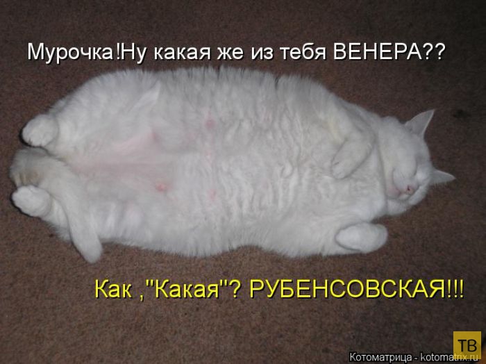 ������ ����������� ������, ����� 16 (50 ����)