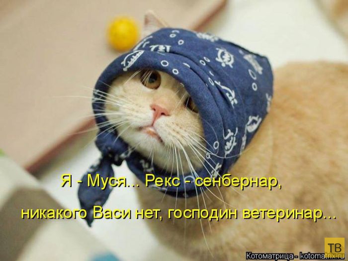 ������ ����������� ������, ����� 16 (50 ����)