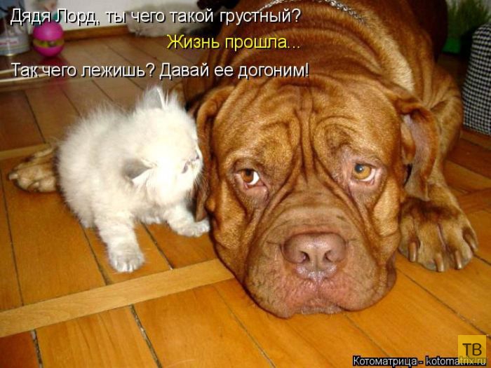 ������ ����������� ������, ����� 16 (50 ����)