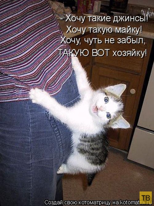 ������ ����������� ������, ����� 16 (50 ����)