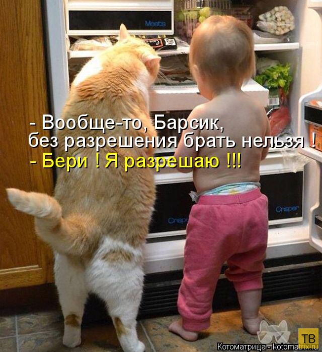 ������ ����������� ������, ����� 16 (50 ����)