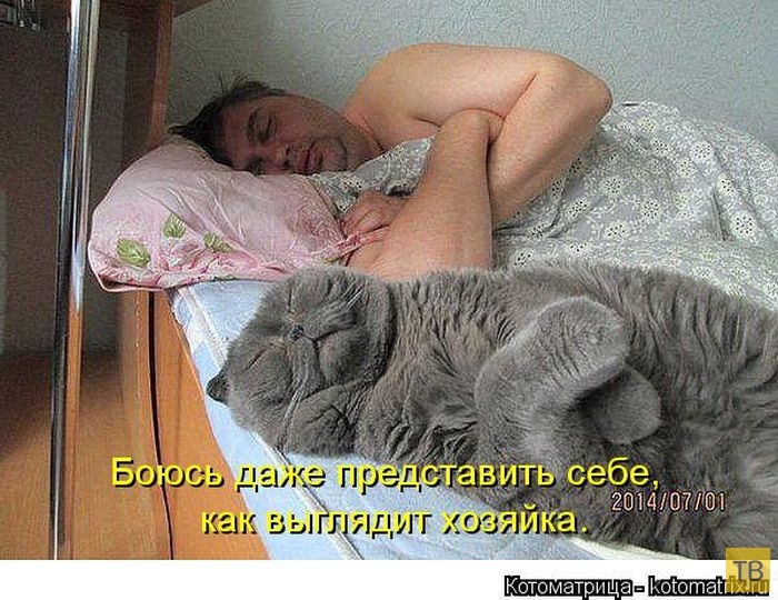 ������ ����������� ������, ����� 16 (50 ����)