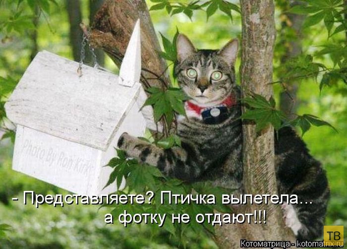 ������ ����������� ������, ����� 16 (50 ����)