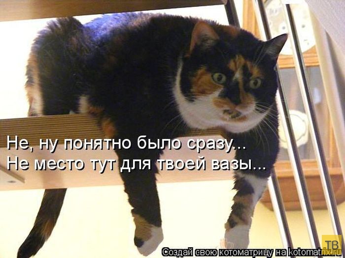 ������ ����������� ������, ����� 16 (50 ����)