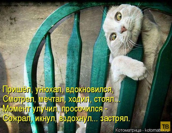 ������ ����������� ������, ����� 16 (50 ����)