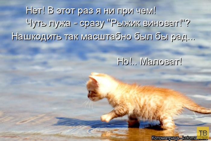 ������ ����������� ������, ����� 16 (50 ����)