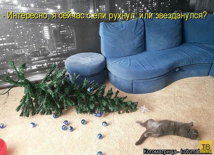 ������ ����������� ������, ����� 16 (50 ����)