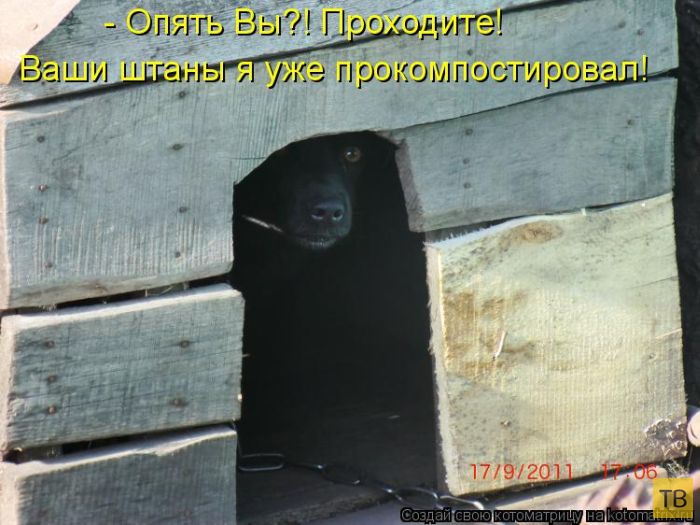 ������ ����������� ������, ����� 16 (50 ����)