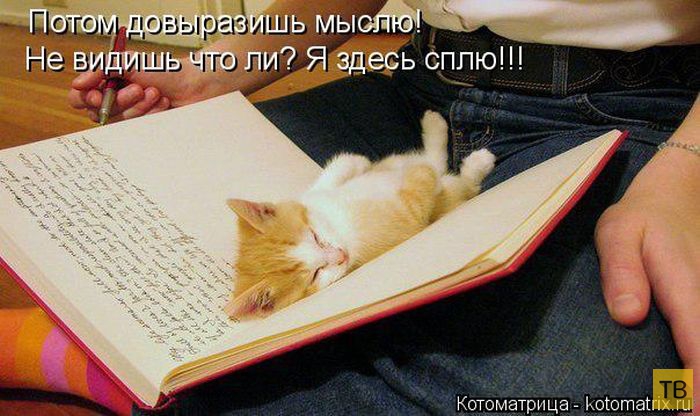 ������ ����������� ������, ����� 16 (50 ����)