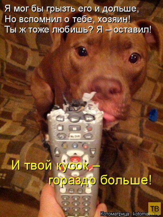 ������ ����������� ������, ����� 16 (50 ����)