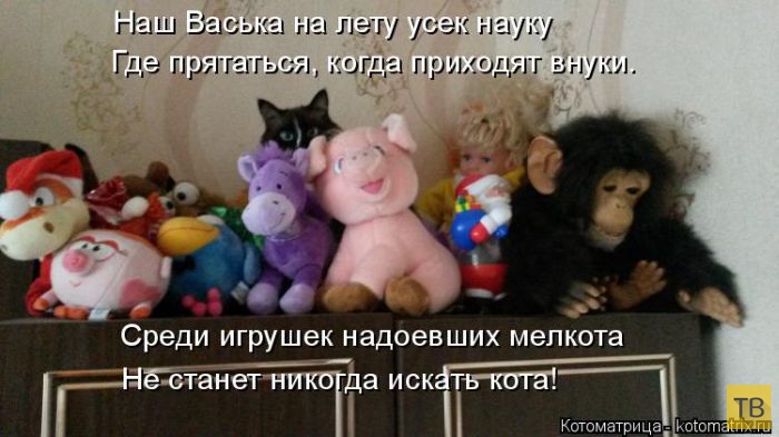 ������ ����������� ������, ����� 16 (50 ����)