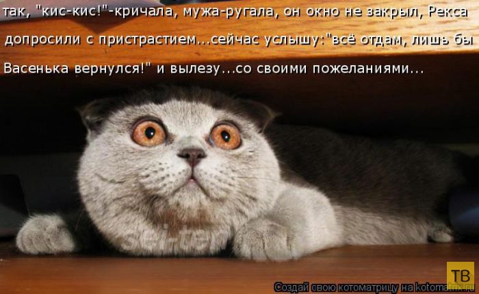 ������ ����������� ������, ����� 16 (50 ����)