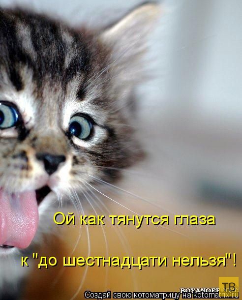 ������ ����������� ������, ����� 16 (50 ����)