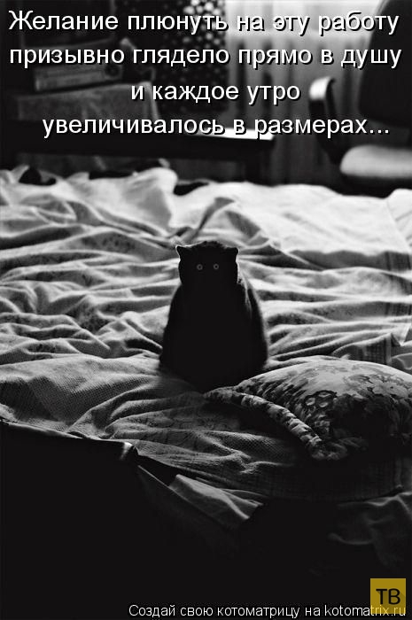 ������ ����������� ������, ����� 16 (50 ����)